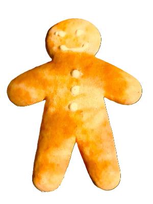 Bonhomme Pain d'Epices Glacé Mulot et Petitjean