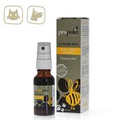 Spray cutané purifiant chien et chat 20 ml