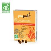 Gommes propolis gingembre Bio 45 grs