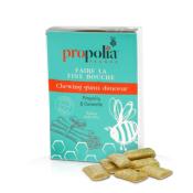 Chewing-Gums Propolis et Cannelle Sans Sucres