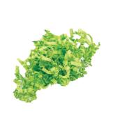 Frisure de Papier Coloris Vert Anis Balle 10 Kg