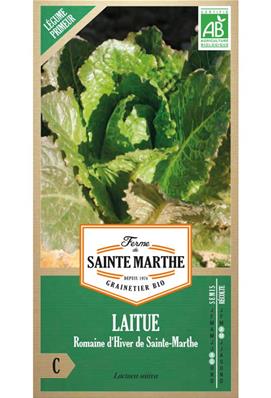 Laitue romaine d'hiver de Sainte-Marthe sachet de 500 graines