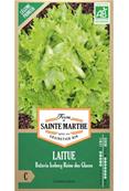 Laitue batavia iceberg reine des glaces Bio sachet de 500 graines