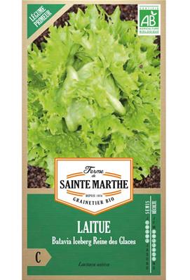 Laitue batavia iceberg reine des glaces Bio sachet de 500 graines