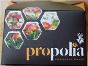 Coffret santé 6 produits à la propolis