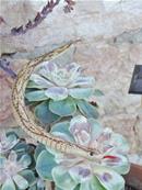Serpent articulé en bois 40 cm