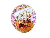 Presse Papier Verre La Rochère Collection Grain De Folie Violine Jaune