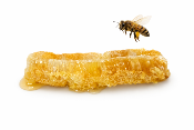 Perles De Cire d'Abeille Certifiée Bio 500 Grs