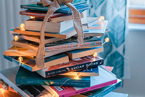 Librairie (Dstockage Accessoires, Livres & Articles de Papeterie)