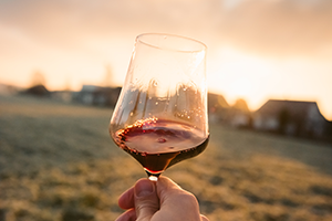 Les Vins du Jura