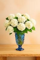 Les vases dcoratifs