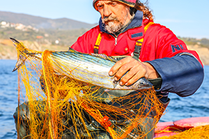 Produits de la Mer & de l'Ocan