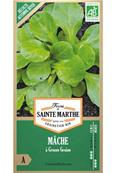 Mche  grosse graine Bio sachet de 500 graines